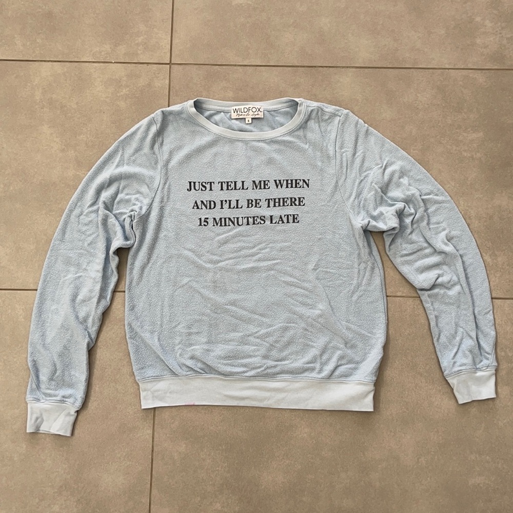 Blue wildfox sweatshirt